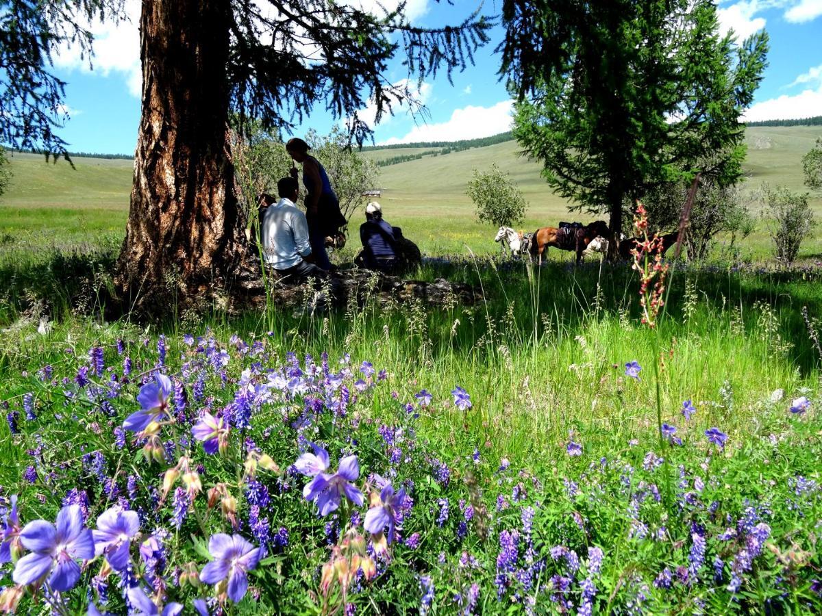 Top Tour & Guesthouse Mongolia Улан-Батор Экстерьер фото